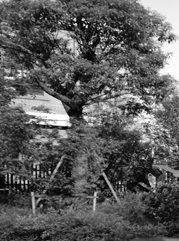 凤城注册公司